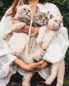 Картини за номерами Улюблені муркотики 40x50 Brushme BS52508