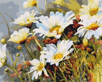Картини за номерами Землянички в ромашках 40x50 Brushme BS52280