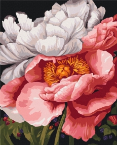 Картины по номерам Тишина в цветах © Анастасия Алехина 40x50 Brushme BS54475
