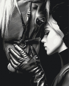 Картины по номерам Гармония душ 40x50 Brushme BS54426