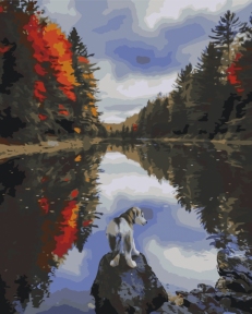 Картины по номерам Собачка у озера 40x50 Brushme BS51425