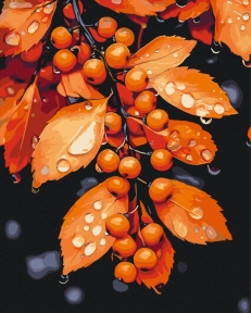 Картини за номерами Мелодія крапель 40x50 Brushme BS54386