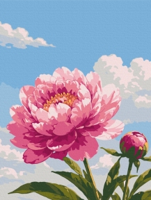 Картины по номерам Нежность пиона 30x40 Brushme RBS54595