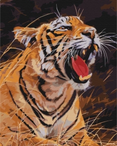 Картины по номерам Рычание тигра 40x50 Brushme BS52414