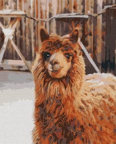 Картини за номерами Лама на фермі 40x50 Brushme BS52266