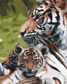 Картини за номерами Сімейство тигрів 48x60 Brushme BS52792L