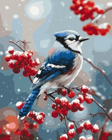 Картины по номерам Птичка на морозной ветке 40x50 Brushme BS54498