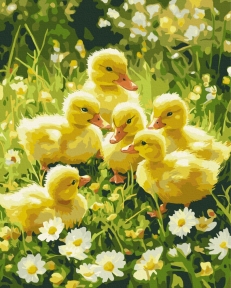 Картины по номерам Милые пушистики на лужайке 40x50 Brushme BS54232