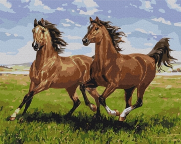 Картины по номерам Скакуны на пробежке 48x60 Brushme BS51966L