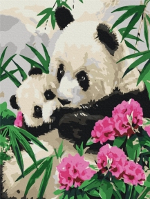 Картины по номерам Мама панда с детенышем 30x40 Brushme RBS51964