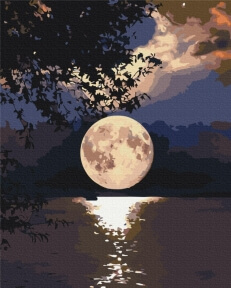 Картины по номерам Захід сонця 40x50 Brushme BS5639