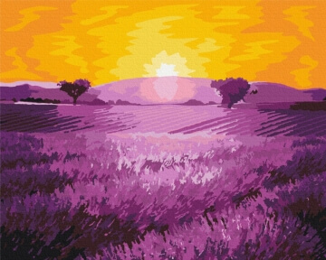 Картины по номерам Восход солнца над лавандой 48x60 Brushme BS52690L
