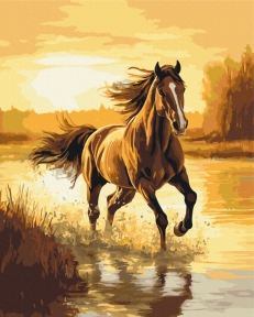 Картины по номерам Ветер в гриве 40x50 Brushme BS54419