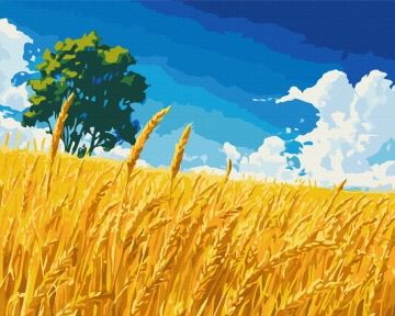 Картини за номерами Поле золотих колосків 40x50 Brushme BS54382