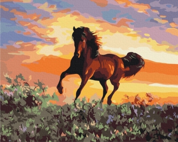 Картини за номерами Кінь 48x60 Brushme BS6943L