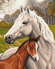 Картины по номерам Сім'я коней 40x50 Brushme BS33101