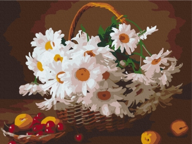 Картины по номерам Дикие ромашки 30x40 Brushme RBS29376