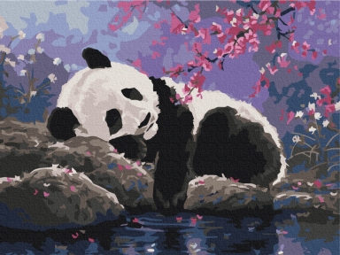 Картини за номерами Солодкий панди сон 30x40 Brushme RBS25108