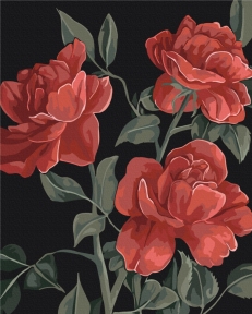 Картины по номерам Красное сердце сада © LUNATART 40x50 Brushme BS54306