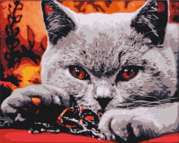 Картини за номерами Хижак домашній 48x60 Brushme BS32800L