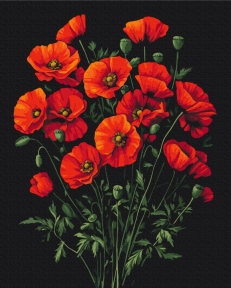 Картины по номерам Очарование маков 40x50 Brushme BS54146