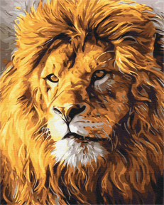 Картины по номерам Погляд на прайд 40x50 Brushme BS52292