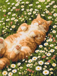 Картины по номерам Кот в ромашках 30x40 Brushme RBS1064