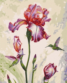 Картини за номерами Ранкова зустріч © Anna Steshenko 48x60 Brushme BS53924L