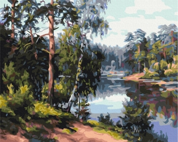 Картини за номерами Живописне озеро у лісі 40x50 Brushme BS51969
