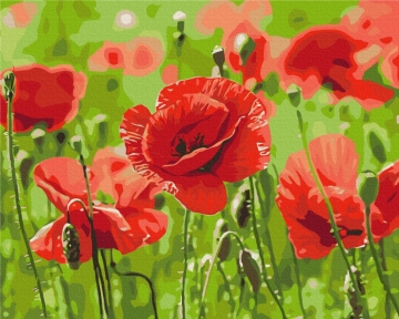 Картини за номерами Червоні маки 40x50 Brushme BS53703