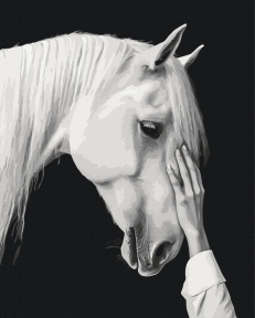 Картины по номерам Белый мираж 40x50 Brushme BS54416