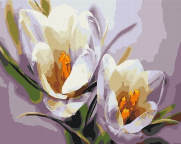 Картини за номерами Крокуси 48x60 Brushme BS5828L