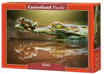 Пазл Смелая лягушка 500 эл