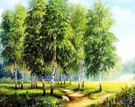 Алмазная мозаика с подрамником Березовая опушка леса 40 х 50 см My-Art TN485
