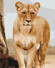 Картины по номерам Молодая львица 40x50 Brushme BS52392