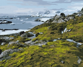 Картины по номерам Зеленая Антарктика © Дмитрий Мартыненко 40x50 Brushme BS54265