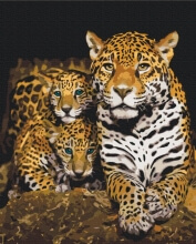 Картины по номерам Ночные леопарды 40x50 Brushme BS52791
