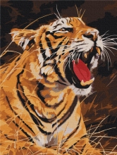 Картины по номерам Рычание тигра 30x40 Brushme RBS52414