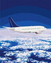 Картины по номерам Політ в небесах 40x50 Brushme BS52837