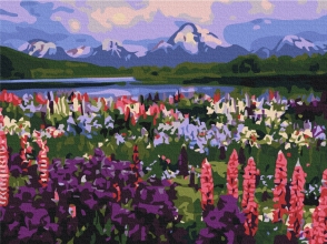 Картины по номерам Долина полевых цветов 30x40 Brushme RBS21019