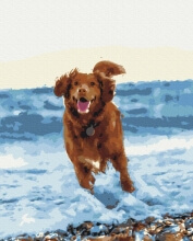 Картины по номерам Собачка в море 48x60 Brushme BS51436L