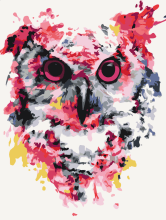 Картины по номерам Сова в фарбах 30x40 Brushme RBS26136