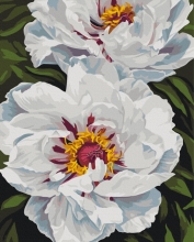 Картини за номерами Біле сяйво © Анастасія Альохіна 40x50 Brushme BS54477