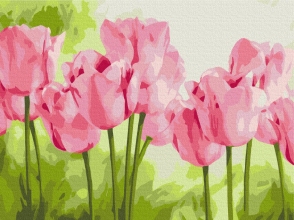 Картины по номерам Нежные тюльпаны 30x40 Brushme RBS31435