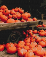 Картины по номерам Oсенний пейзаж 48x60 Brushme BS52369L