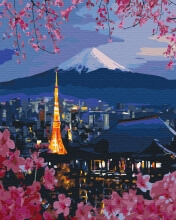 Картины по номерам Путешествие по Японии 40x50 Brushme BS26047
