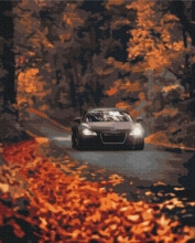 Картины по номерам Осіння дорога 40x50 Brushme BS53291