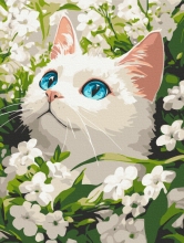Картины по номерам Весенний кот 30x40 Brushme KBS0191
