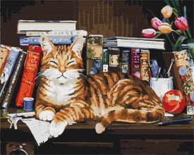 Картини за номерами Кіт на книжковій полиці 40x50 Brushme BS4142