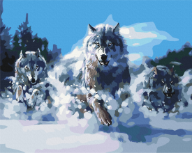 Картины по номерам Волки в движении 40x50 Brushme BS52218